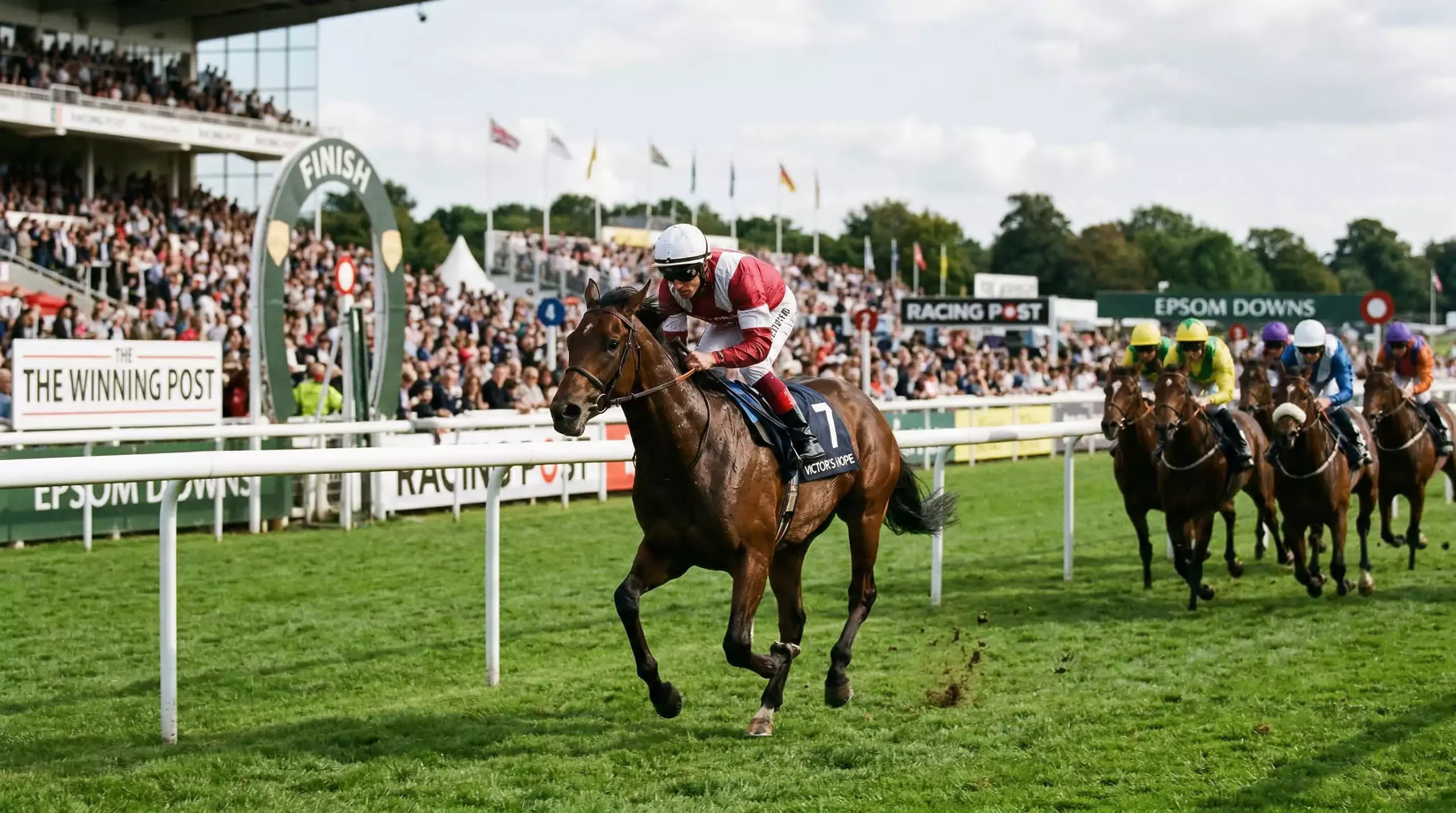 each way wette pferdewetten