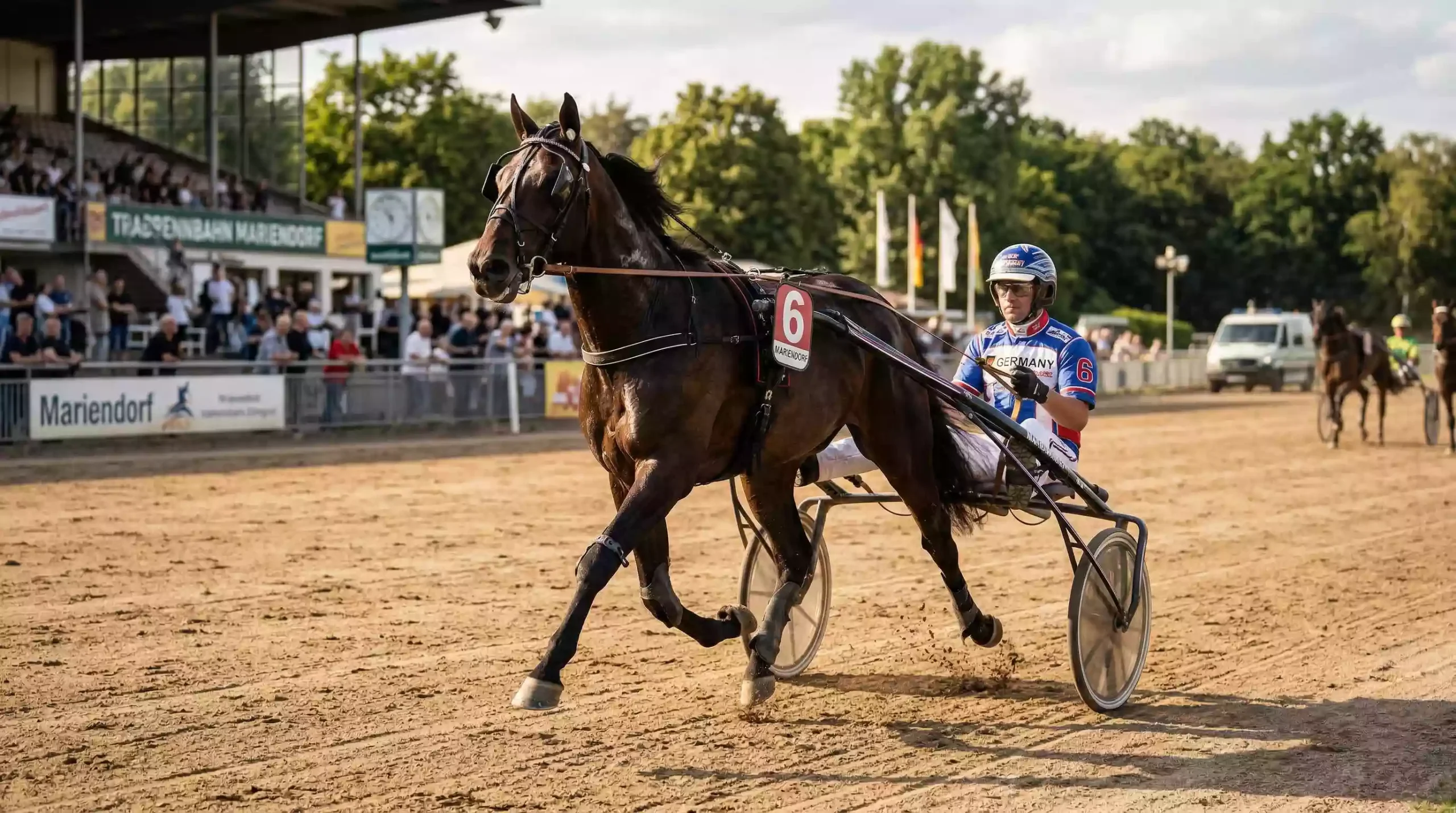 trabrennen wetten sulky