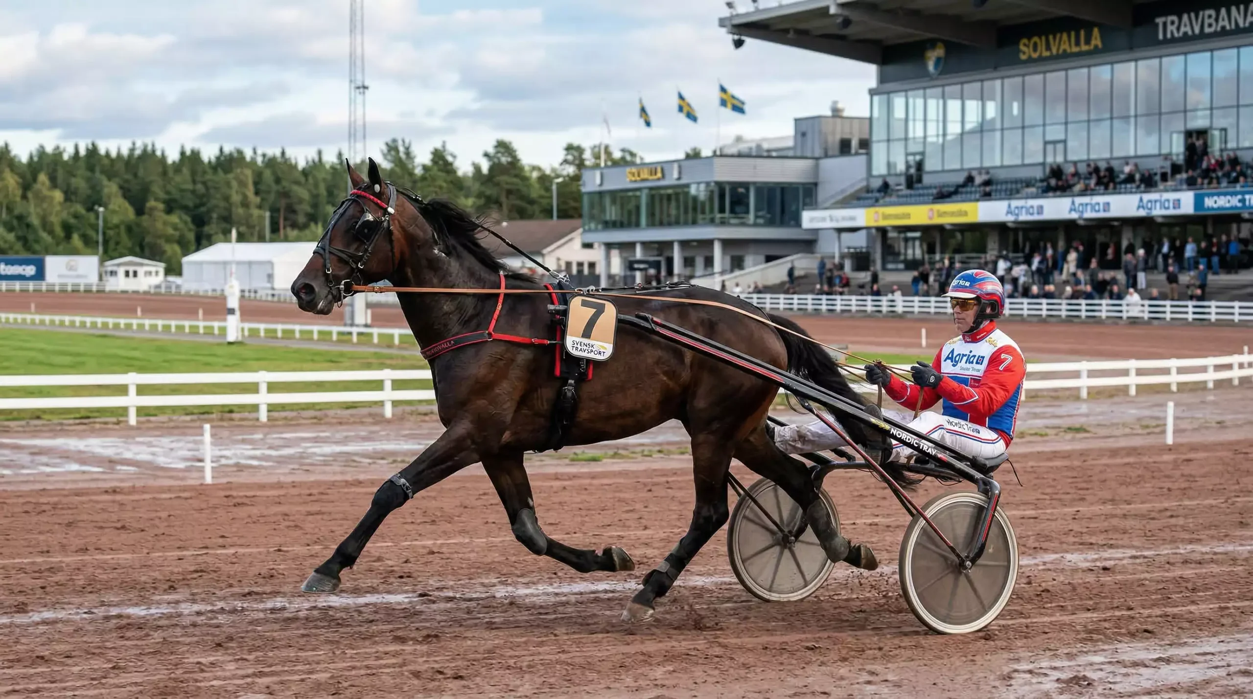 v75 wette schweden trabrennen